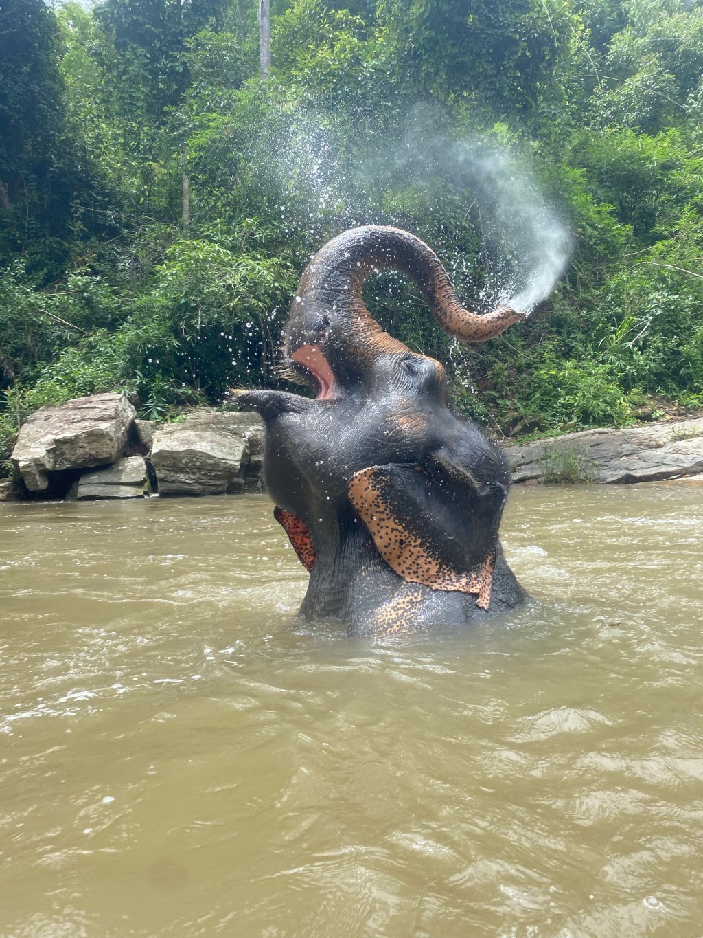 Day 9 – Doi Inthanon National&nbsp;Park