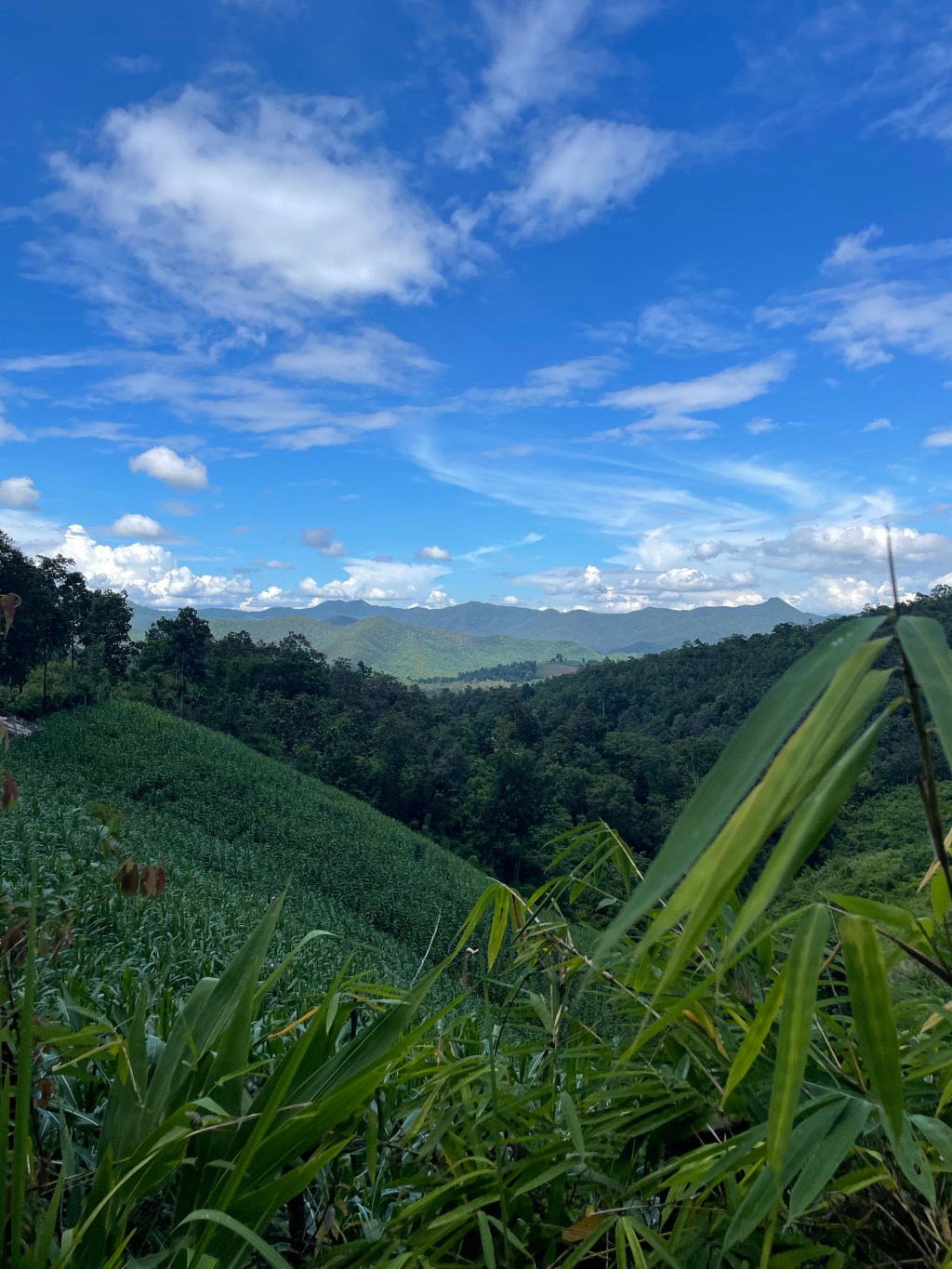 Day 8 – Doi Inthanon National&nbsp;Park