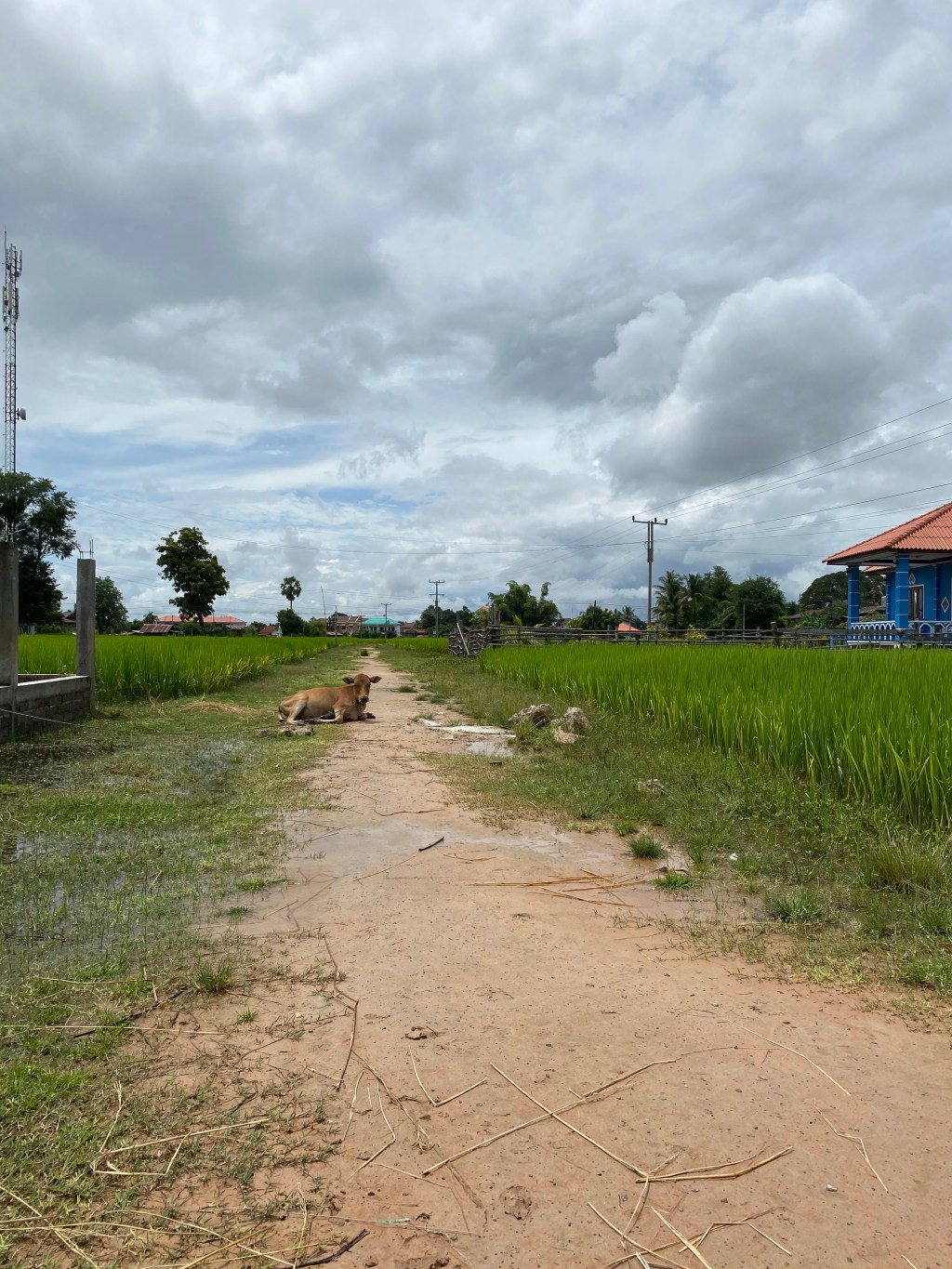 Day 27 – Pakse to Don&nbsp;Det