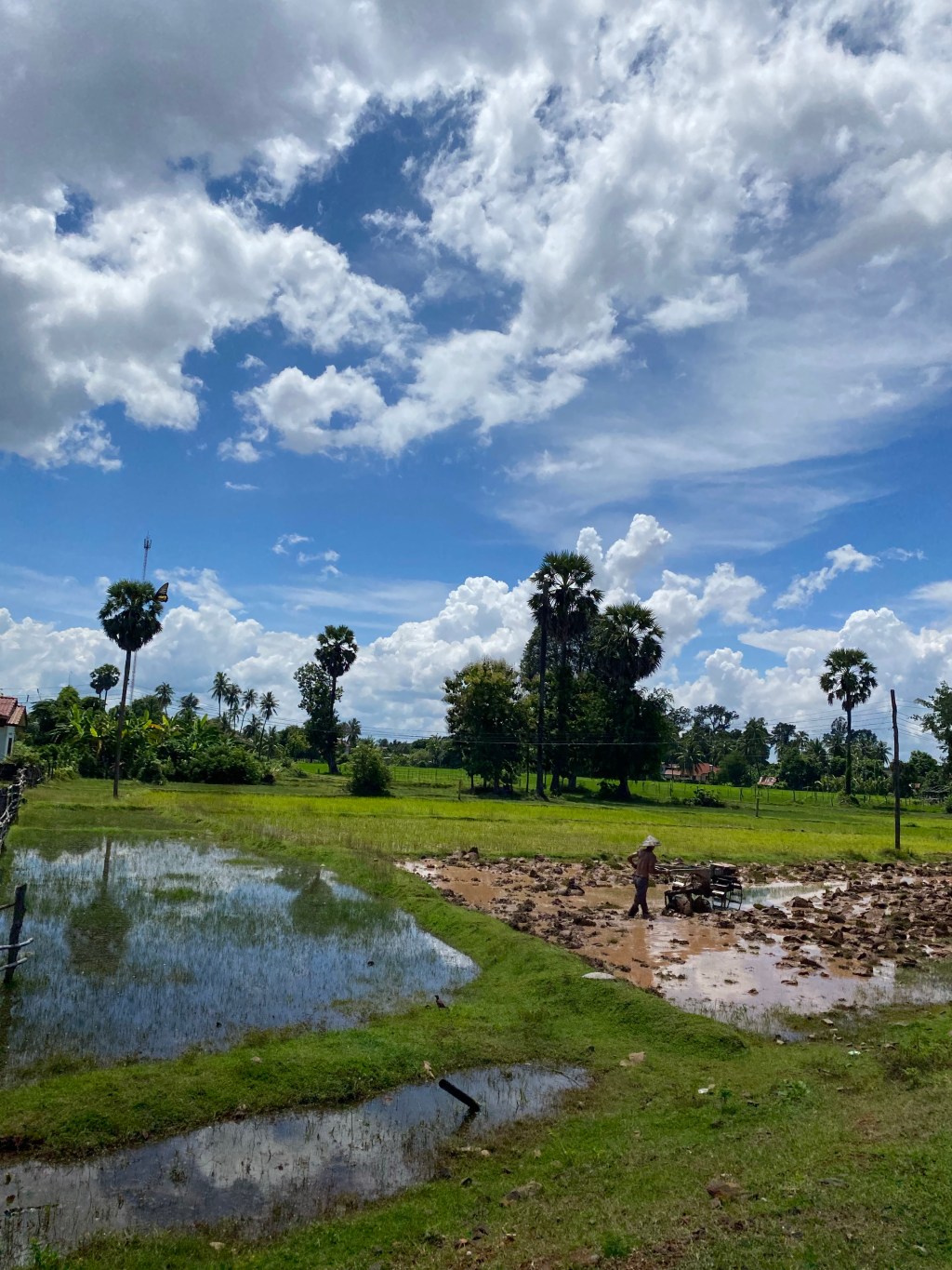 Day 29 – Don&nbsp;Det