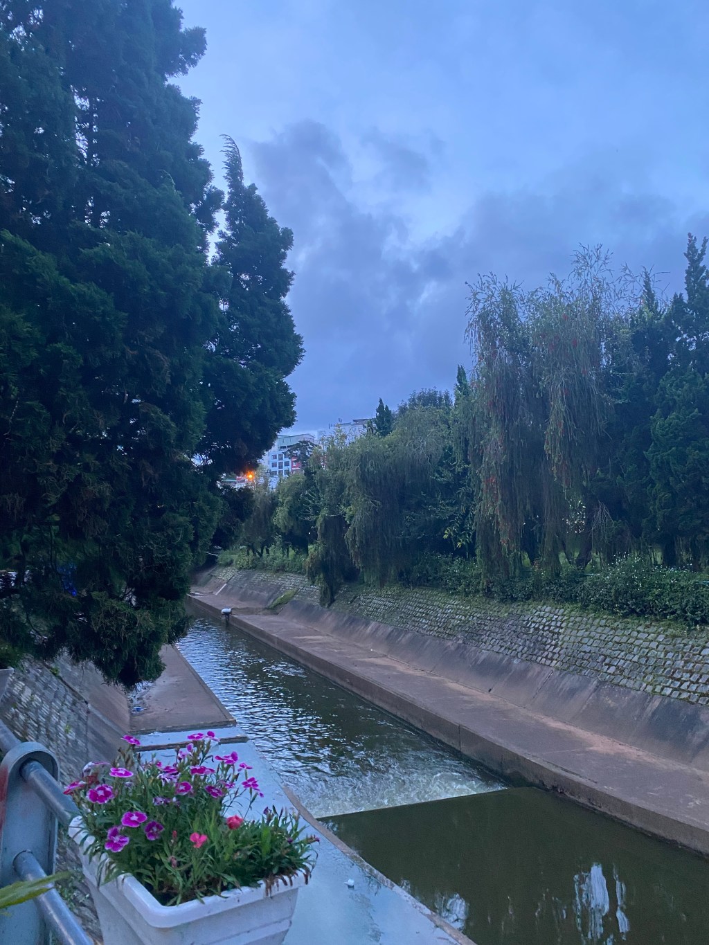 Day 50 – Mui Ne to Da&nbsp;Lat