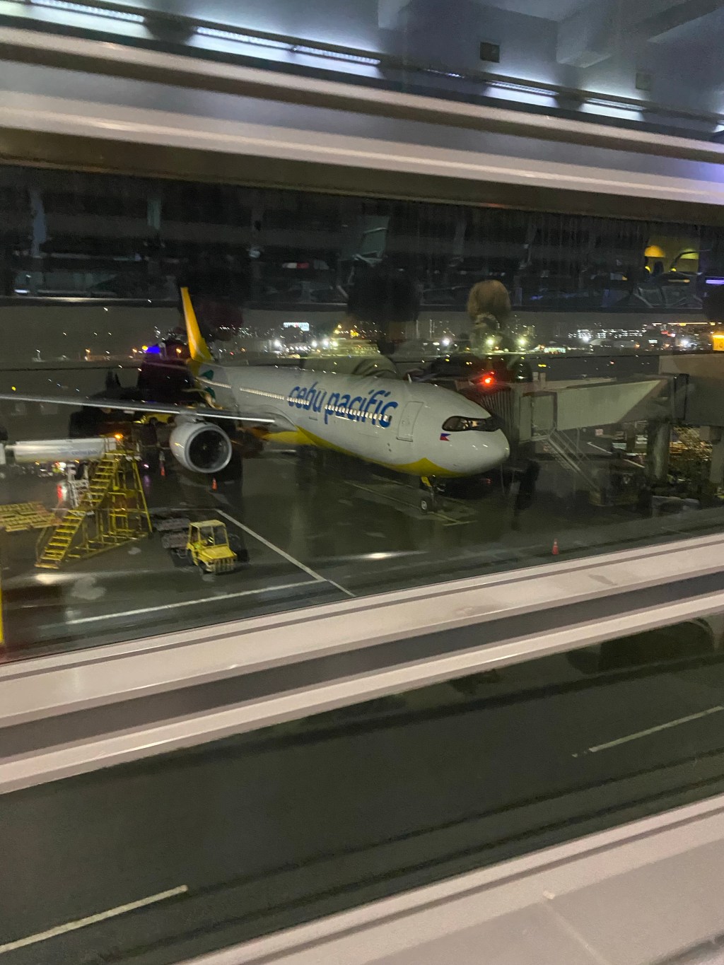 Day 73 – Hanoi to Cebu